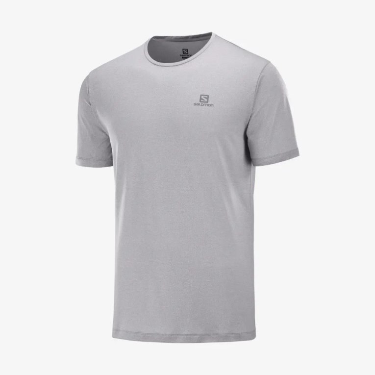 Camiseta Salomon Agile Entrenamiento Corta Sleeve Hombre Grises Claro | MX IOMW573